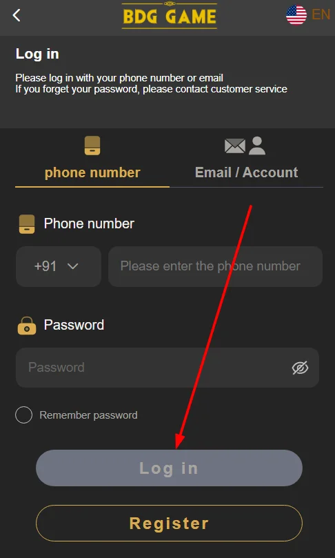 Click the login button